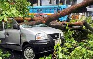 ঘূর্ণিঝড় আম্ফানের তাণ্ডবে পশ্চিমবঙ্গে ৭২ জনের মৃত্যু