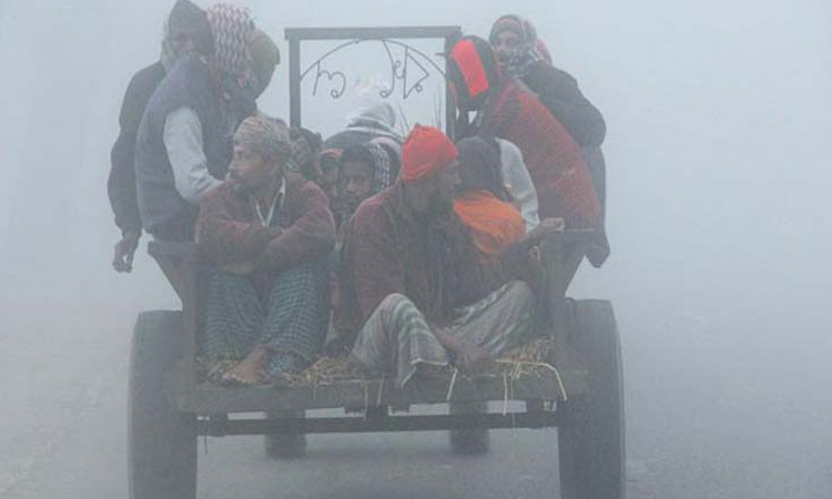 ১৭-১৮ ডিসেম্বর শৈত্যপ্রবাহ হতে পারে