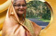 শহরের মতো গ্রামের সড়ক চান প্রধানমন্ত্রী
